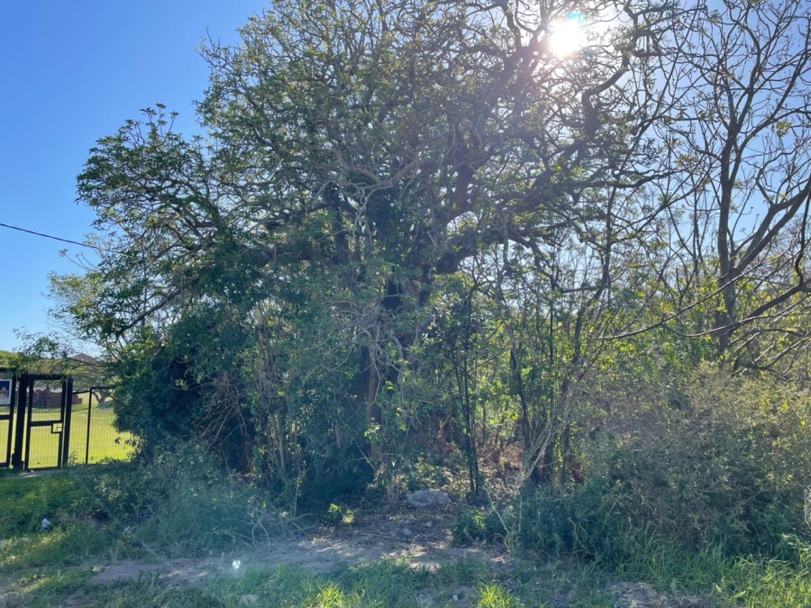 0 Bedroom Property for Sale in Bathurst Eastern Cape